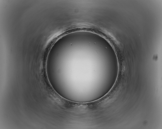 X0000091241261200708161729