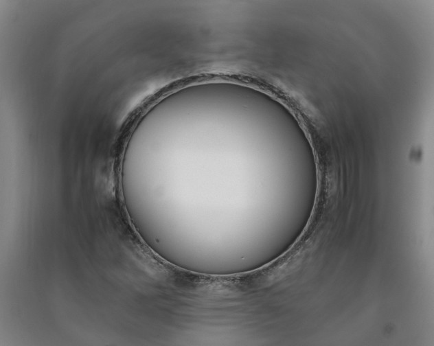 X0000091241262200708161729