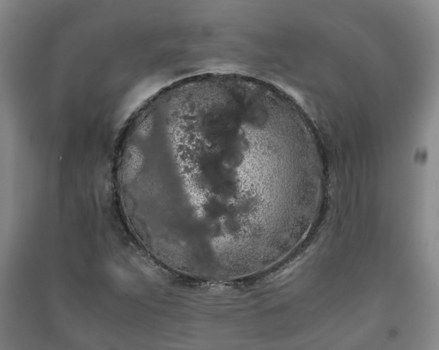 X0000091241263200708161729