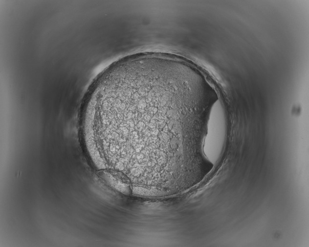 X0000091241264200708161729