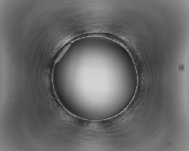 X0000091241265200708161729