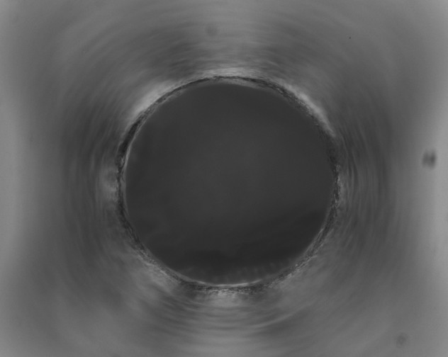 X0000091241266200708161729