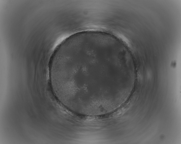 X0000091241267200708161729
