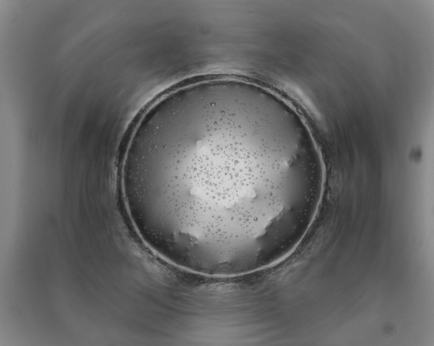 X0000091241268200708161729