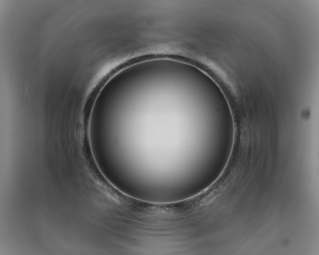 X0000091241270200708161729