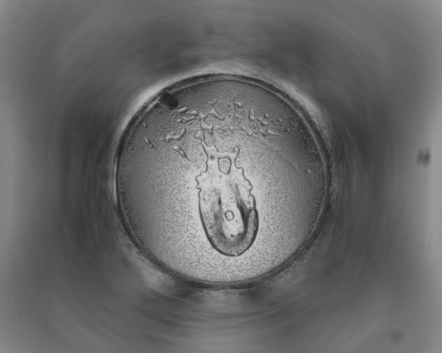 X0000091241272200708161729