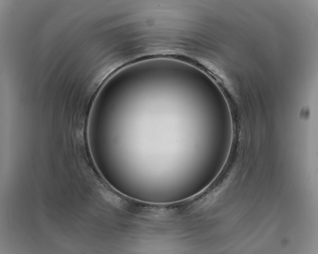 X0000091241273200708161729