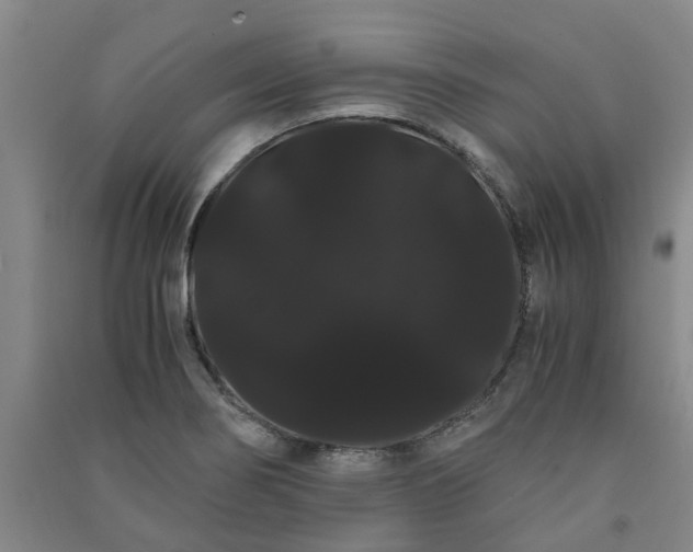 X0000091241274200708161729