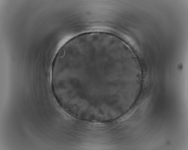 X0000091241275200708161729