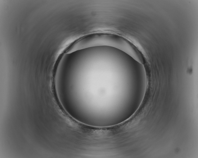 X0000091241277200708161729