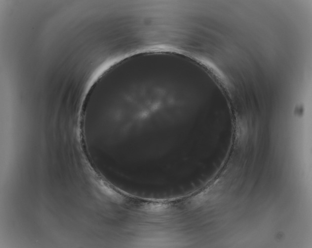 X0000091241278200708161729