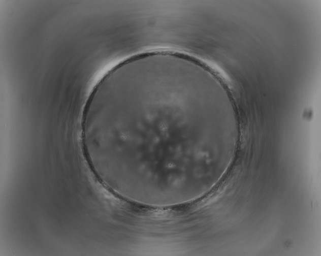 X0000091241279200708161729