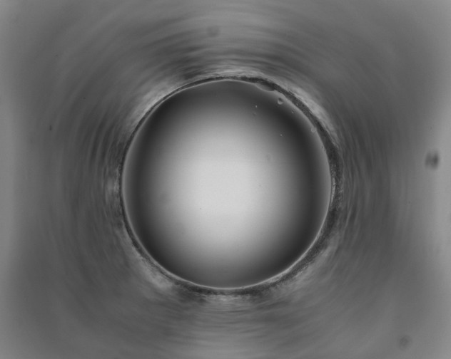 X0000091241281200708161729