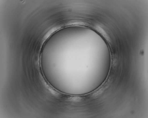 X0000091241282200708161729