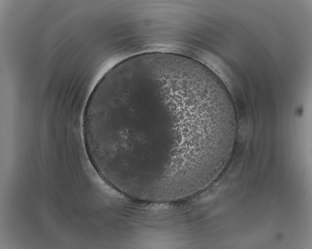 X0000091241283200708161729