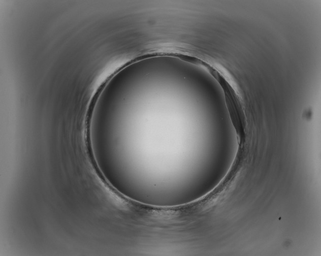 X0000091241285200708161729