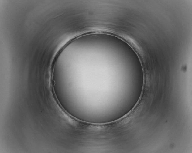 X0000091241286200708161729