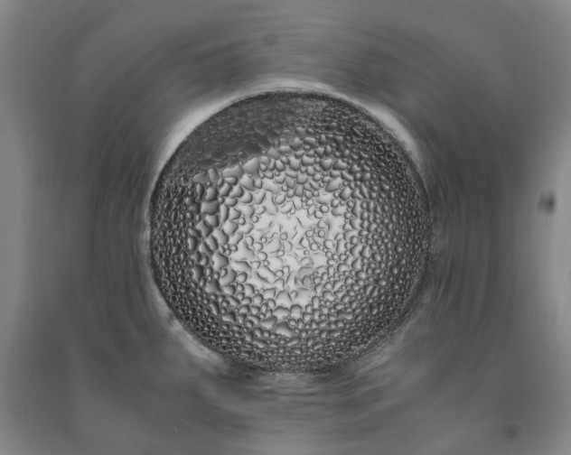 X0000091241287200708161729