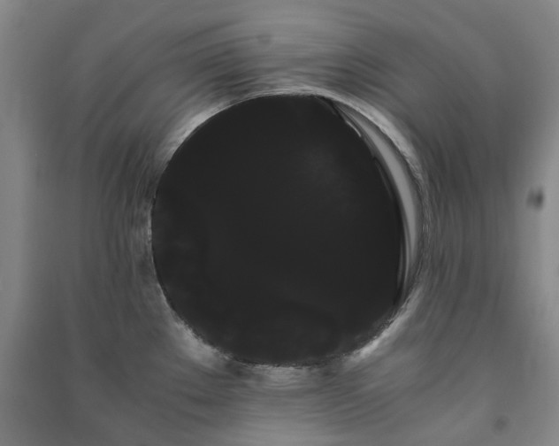 X0000091241289200708161729
