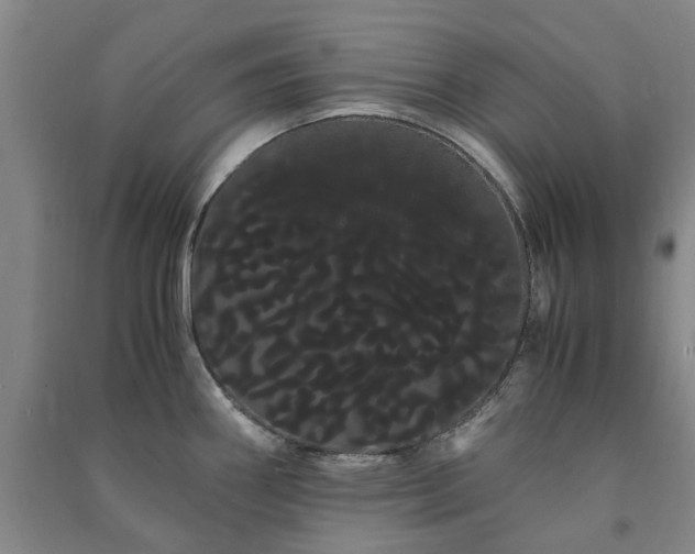 X0000091241290200708161729