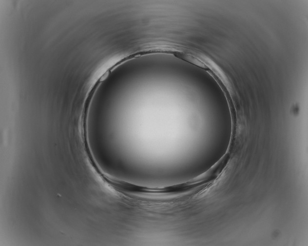 X0000091241293200708161729