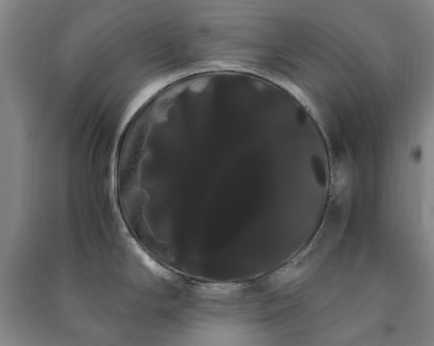 X0000091241294200708161729