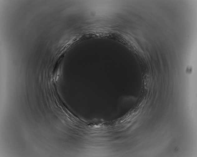 X0000091241298200708161728