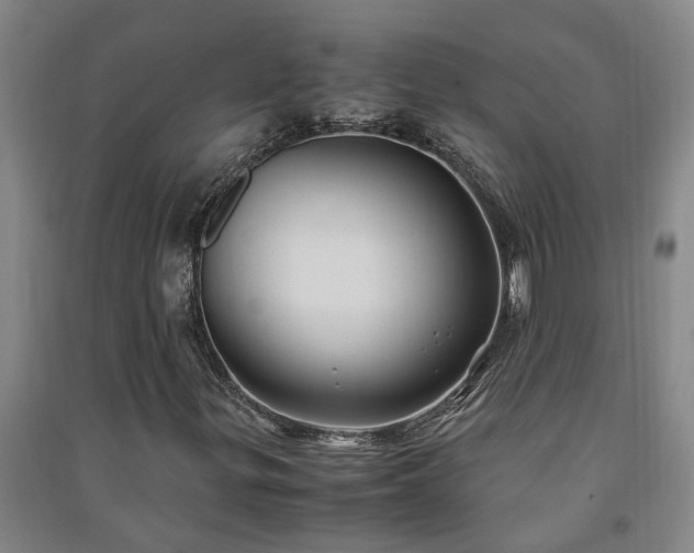 X0000091241299200708161728