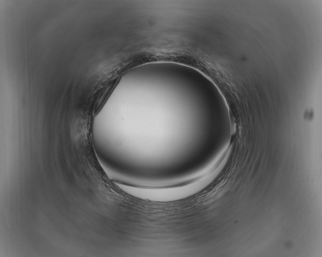 X0000091241300200708161728