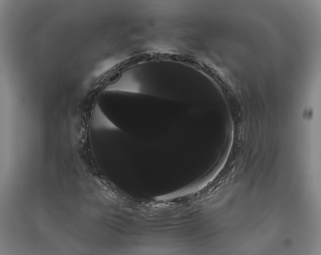 X0000091241303200708161728