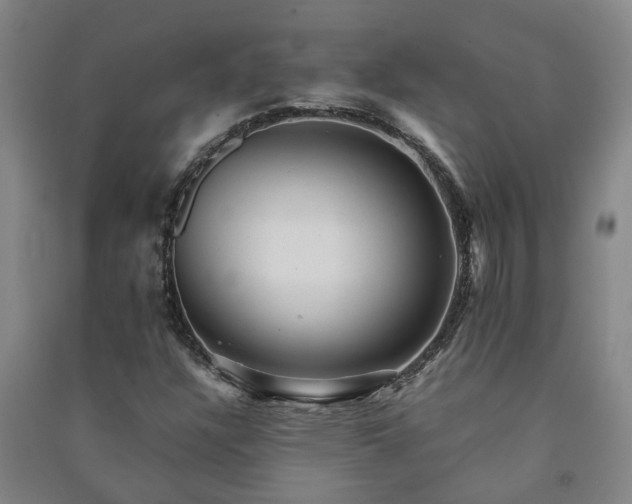 X0000091241304200708161728