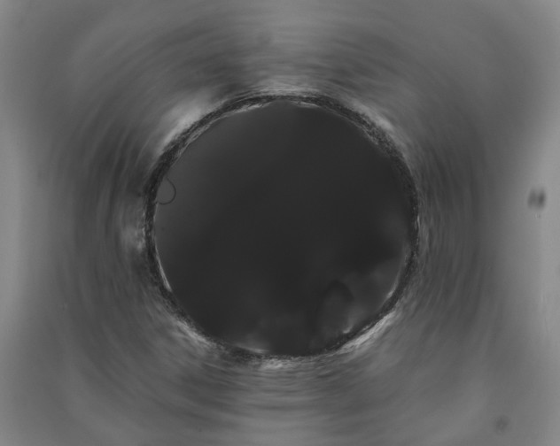 X0000091241306200708161728