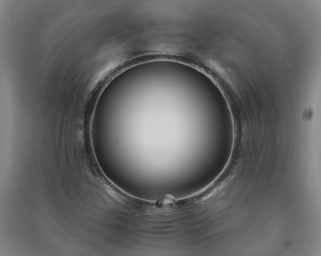 X0000091241307200708161728