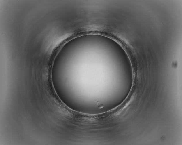 X0000091241309200708161728
