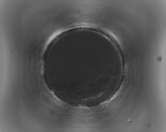 X0000091241310200708161728