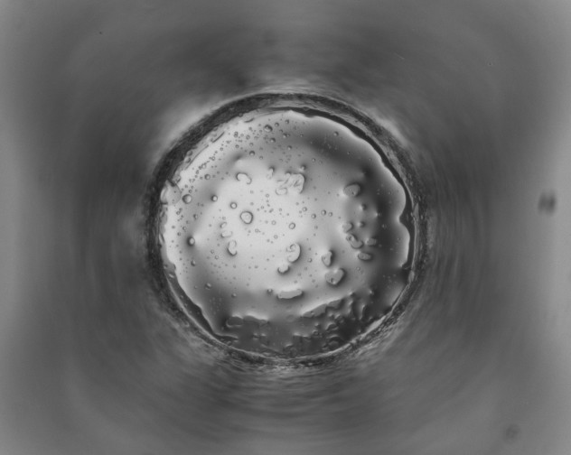 X0000091241311200708161728
