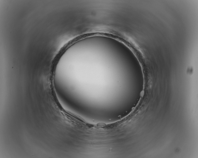 X0000091241312200708161728