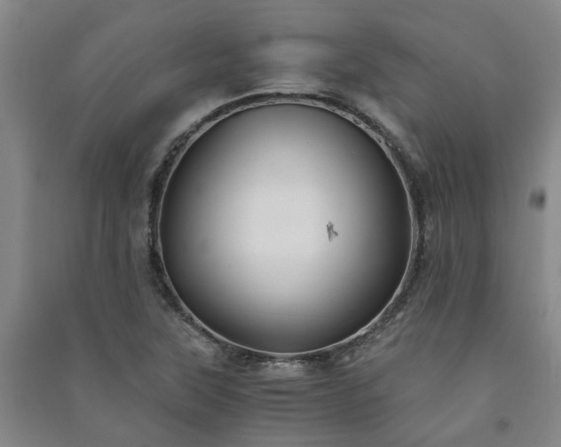 X0000091241315200708161728