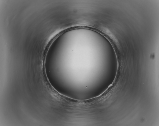 X0000091241316200708161728
