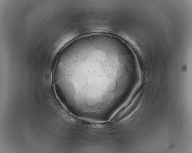 X0000091241317200708161728