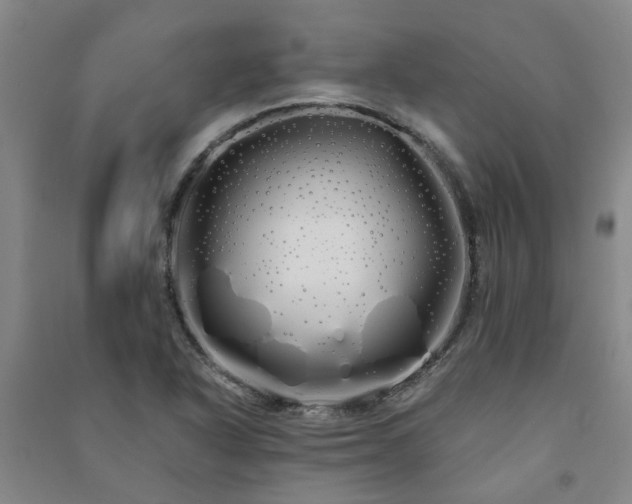 X0000091241318200708161728