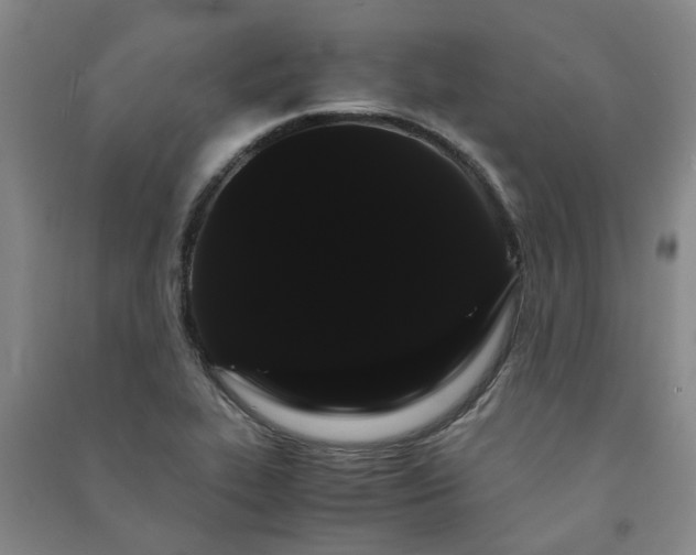 X0000091241319200708161728