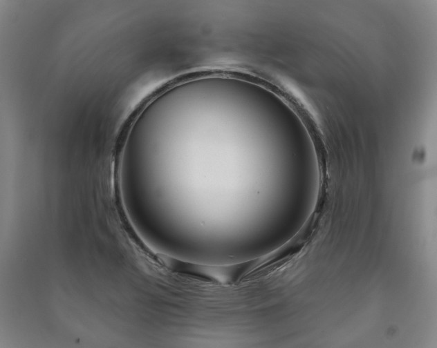 X0000091241320200708161728