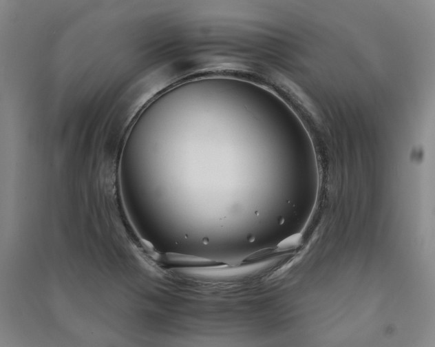 X0000091241321200708161728