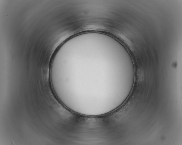 X0000091241322200708161728