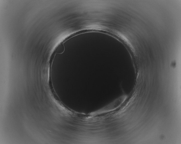 X0000091241323200708161728