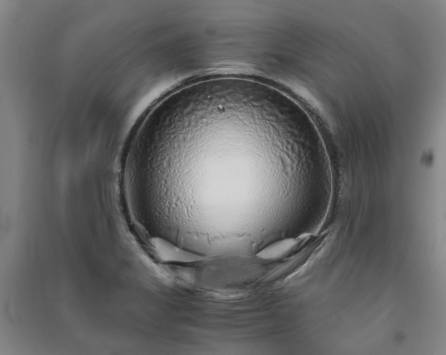 X0000091241325200708161728
