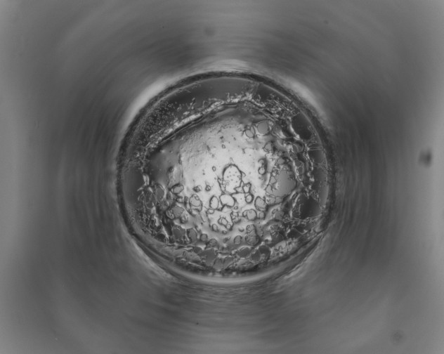 X0000091241326200708161728