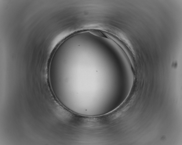 X0000091241328200708161728