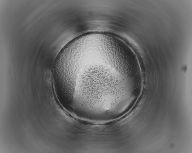 X0000091241329200708161728